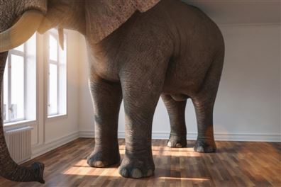 Siz Büyürken Hayalleriniz Küçülmesin