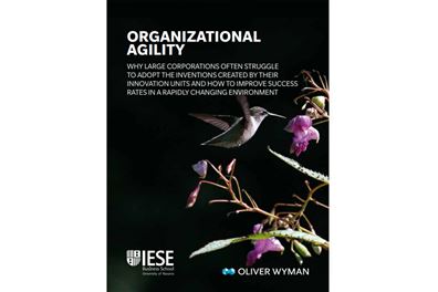 Organizational Agility, Why Large Corporations Often Struggle to Adopt The Inventions...