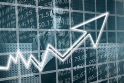 Çevik Organizasyonlar