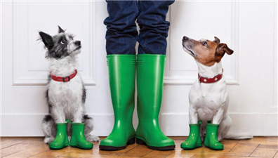 Öğrenme Çevikliğiyle Çalışan Performansını Artırmak